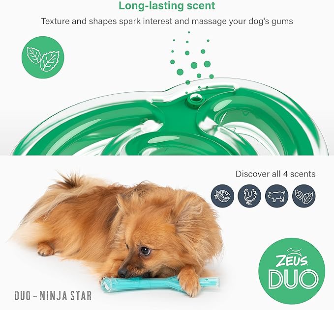ZEUS Duo Ninja Star Strong Dog Chew Toy for Active Chewers, Long Lasting Mint Scent