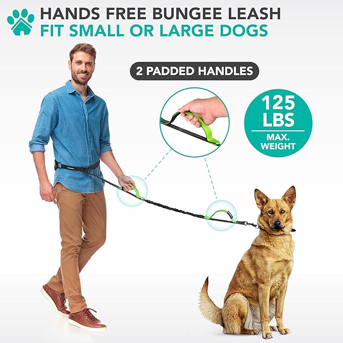 PetAmi Heavy Duty Hands Free Dog Leash, Adjustable Waist Belt for Large Dog Walking Up to 125 lbs, Bungee Leash for Pet Running, Hiking, Reflective Safety for Jogging, Biking, Green Handle