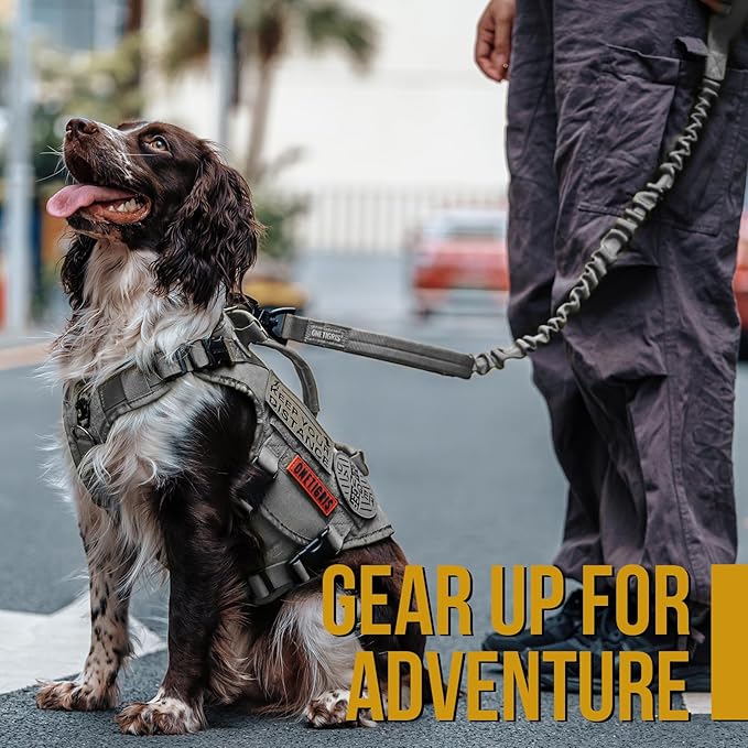 OneTigris Tactical Dog Training Leash Bungee Leash with 2 Control Handle Quick Release Nylon Leads Rope(Grey)