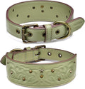 Blueberry Pet Premium Embossed Sage Green Glam Silver-Powered Freshness Microfiber Leather Dog Collar with Antique Brass Studs