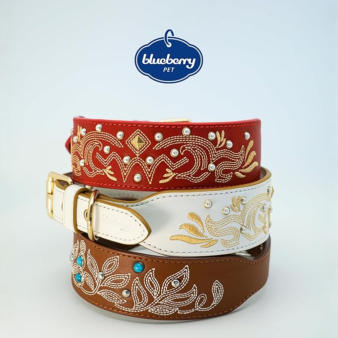 Blueberry Pet Western Dog Collar in Canyon Brown - 15-18 Inch Necks Floral-Embroidered Leather with Turquoise Studs, Dog Collars for Medium Dogs, Adjustable Leather Girl Dog Collar