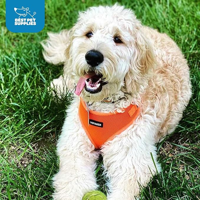 Voyager Step-in Pet Harness - All Weather Mesh, Adjustable Step in Harness for Cats and Dogs by Best Pet Supplies - Orange, L