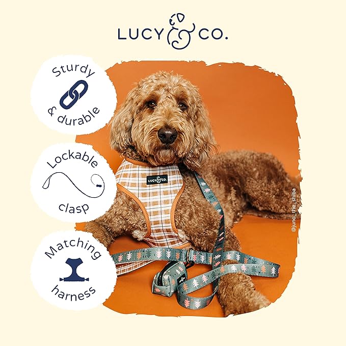 Lucy & Co. Designer Dog Leash - Pet Accessories - Thick Dog Leash - Padded Handle for Comfort - Purple with Green Floral - 5 Foot (Neutral Brown Plaid Blue Trees, Large)