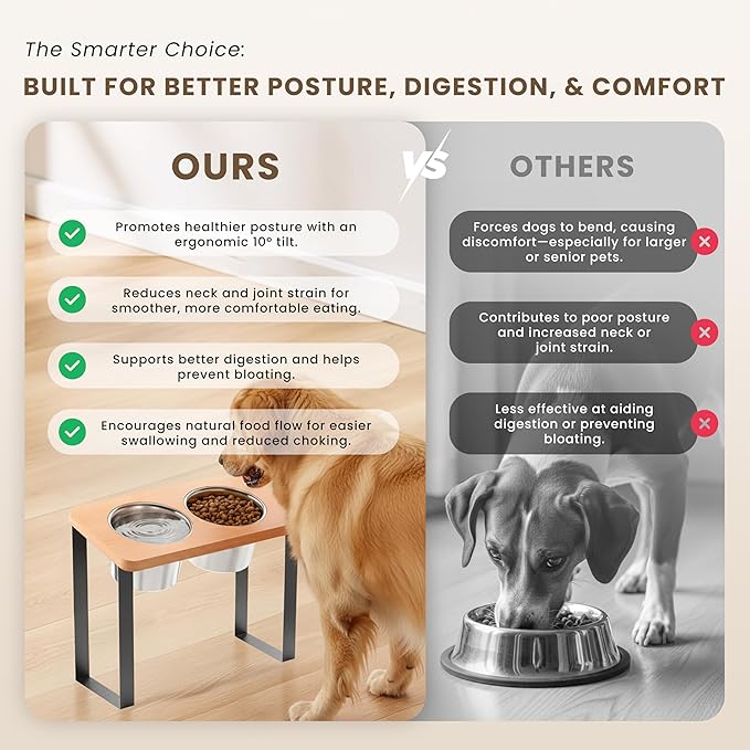 14" Tall Elevated Dog Bowls - Ergonomic Stainless Steel Dog Bowls with 10° Tilt in Bamboo Wood Stand for Tall & Large Breed