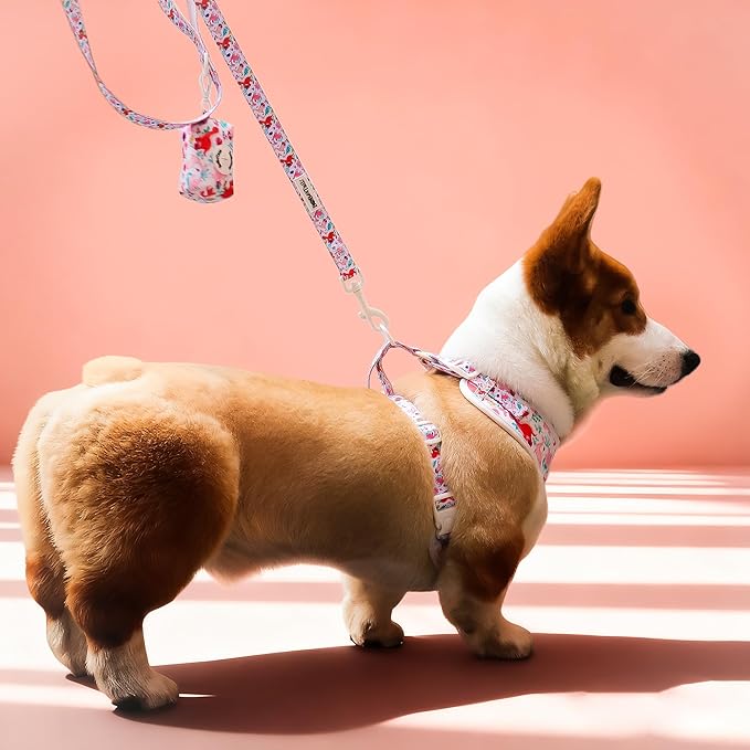 5 FT Stylish Dog Leash, Soft Dog Leashes with Comfortable Padded Handle, Metal Carabiner Clip, Strong No Pull Pet Leash for Small Medium Dogs for Walking, Shopping and Running