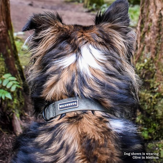 Wilderdog Waterproof Dog Collar - Repels Water & Dirt - Medium 13"-18" - Olive