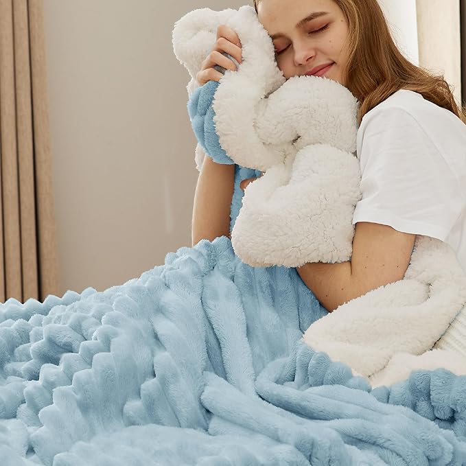 Bedsure Sherpa Throw Blanket for Couch - Super Soft, Cozy Fleece Thick Warm Blanket for Winter, GentleSoft Plush & Fluffy Throw Gift for Women, Room Decor, Sky Blue, 50x60 Inches