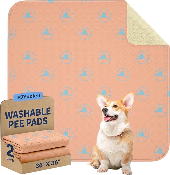 PJYuCien Washable Pee Pads for Dogs 2 Pack, 36" x 36" Non-Slip and Leak-Proof Pee Mat, Puppy Training Pads for Whelping, Playpen, Crate, Bed(Orange)