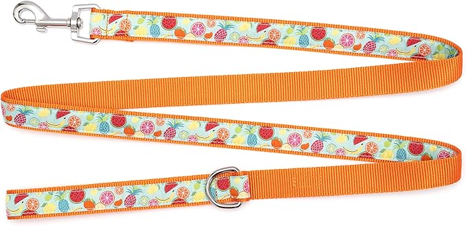 THE WORTHY DOG Tutti Frutti Patterned Nylon Leash for Dogs, Stylish, Durable, Woven Ribbon - Blue/Orange, Large