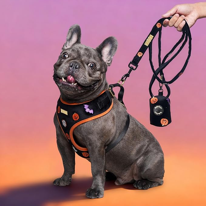 Dog Poop Bag Holder with Clip, Stylish Doggy Waste Bag Dispenser for Dog Leash, Durable Portable Poop Bag Carrier No Include Poop Bag Inside