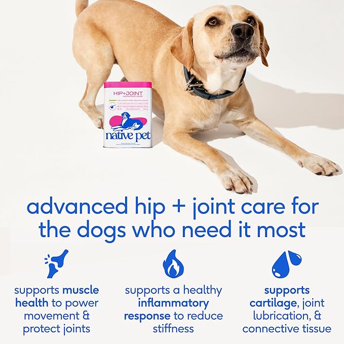 Native Pet Advanced Care - Hip & Joint Supplement for Dogs - Supports Joints, Cartilage, Muscles & Anti-Inflammatory with HMB, UC-II Collagen, Green Lipped Mussel & Hyaluronic Acid - 30 Scoops