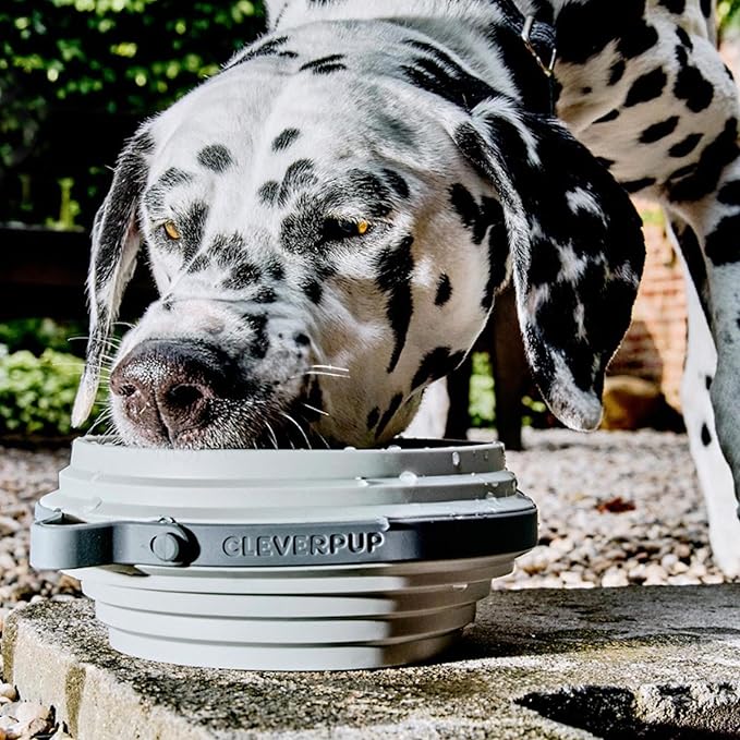 Cleverpup Nomad Large Collapsible Travel Dog Bowl - 4 Cup BPA-Free Silicone for Medium & Large Dogs, Portable, Food & Water, Dishwasher Safe - Grey