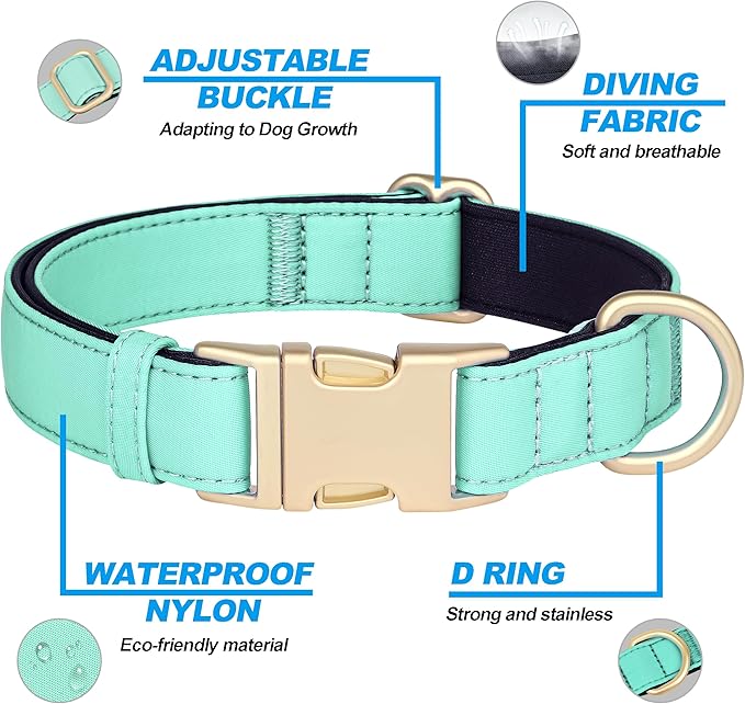 Didog Soft Padded Dog Collars for Small Dogs, Colorful and Durable Dog Collar with Quick Release Buckle, Light and Breathable for Daily Walking, Teal, S