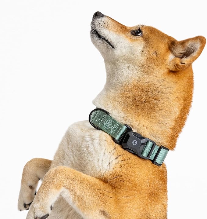 2026 New Edition, Fei & Eve MagEase Dog Collar - Patented Magnetic Buckles | Fur-Safe | Premium 210D Nylon | 450LB Escape-Proof | Adjustable Fit | Small (Glacier Green)