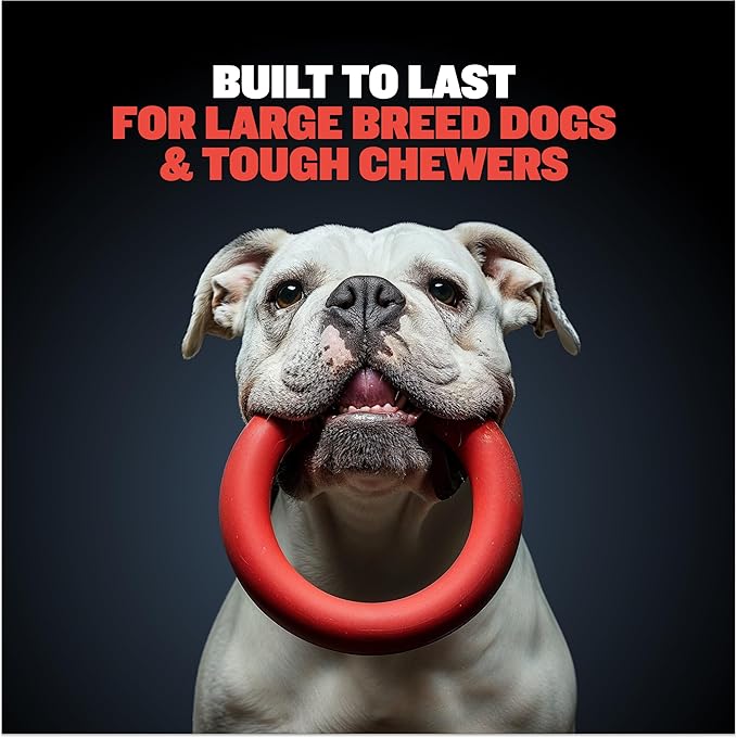 Bully Max Chew Ring Toy Long Lasting Dog Chew Toy for Power Chewers, Big Dogs, & Pit Bulls. Improves Mental Health, Keeps Dogs Busy for Hours.