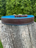 Leaders Leather Dog Collar with Customized Name Plate (Royal Blue/Brown Large (18"-22"))