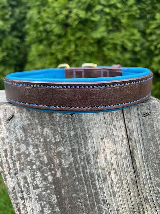 Leaders Leather Dog Collar with Customized Name Plate (Royal Blue/Brown Large (18"-22"))