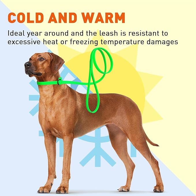 Dogline Biothane Slip Dog Leash - for Small, Medium and Large Dogs - Odor Free Slip Lead, Heavy Duty and Durable Material Kennel Lead - Tropical Green - 5ft L x 3/8in W