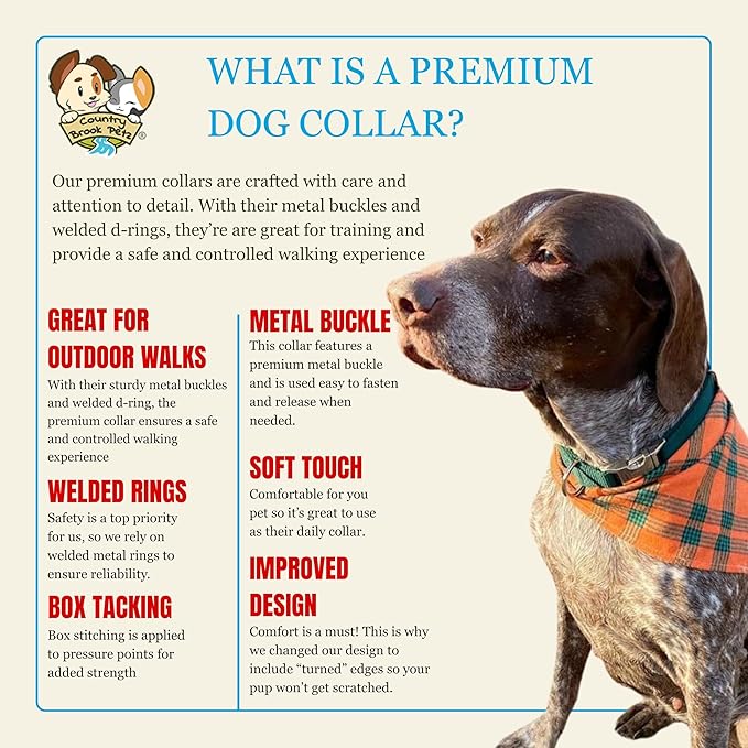 Country Brook Petz - Premium Nylon Dog Collar with Metal Buckle for Small Medium Large Breeds - 10+ Cool Colors (Medium, 3/4 Inch, Green)
