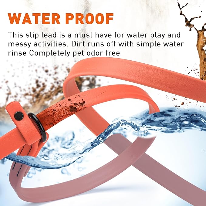 Dogline Biothane Slip Dog Leash - for Small, Medium and Large Dogs - Odor Free Slip Lead, Heavy Duty and Durable Material Kennel Lead - Coral - 5ft L x 5/8in W
