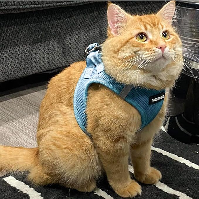 Voyager Step-in Pet Harness - All Weather Mesh, Adjustable Step in Harness for Cats and Dogs by Best Pet Supplies - 307S Baby Blue, XS