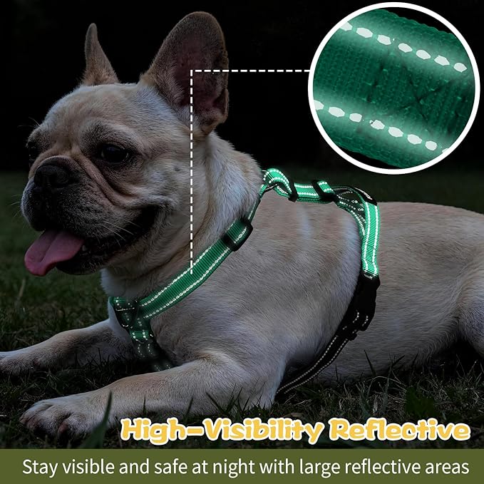 Dog Harness,Adjustable No Pull Dog Harness,Y-Shaped Design,Buckle-Neck Balance Harness with Reflective, Ideal for Dog Training Hiking, Easy Walk Harness,Durable High-Tensile Nylon Aqua Green-L