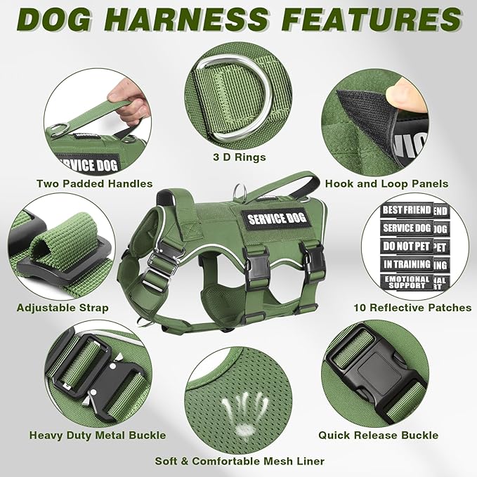 Service Dog in Training Vest and Leash Set with 10 Patches,Heavy Duty Tactical Dog Harness with Metal Buckles for Medium Sized Dogs,No Pull Easy Walking for Training Working Hiking,Green M
