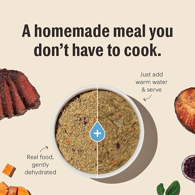 The Honest Kitchen Human Grade Wholemade™ Dehydrated Dog Food, Whole Grain Beef & Oat, 4 lb (makes 16lbs)