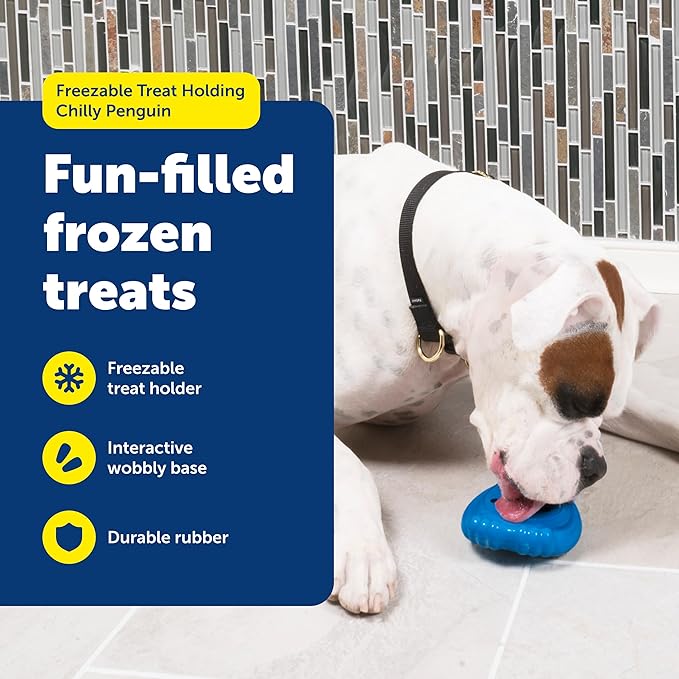 PetSafe Freezable Treat Holding Chilly Penguin - Durable,Vanilla-Scented,Rubber,Freezable Interactive Pet Puzzle for Boredom or Separation Anxiety - for Small Dogs,(Pack of 2)