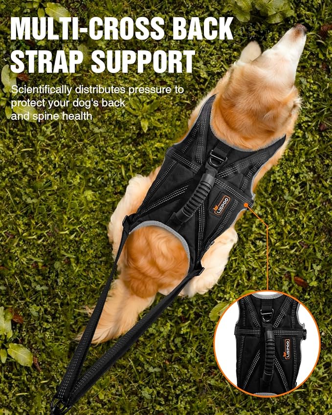 Dog Pulling Harness for Running, Skiing, Biking & Weight Pulling – Adjustable Sled Dog Harness with Leash & Waist Leash Attachment for Medium & Large Breeds (XL)