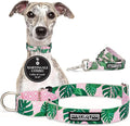 Lucky Love Dog Martingale Dog Collar & Leash - Adjustable, No-Slip, Durable, Comfortable, Soft Webbing, & Stylish Patterned Collar & Leash Set for Male and Female Dogs - Laguna Mart Combo, Medium