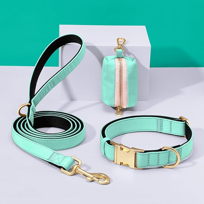 Didog Soft Padded Dog Collar for Large Dogs, Colorful and Durable Pet Collar with Quick Release Buckle, Light and Breathable for Daily Walking, Teal, L