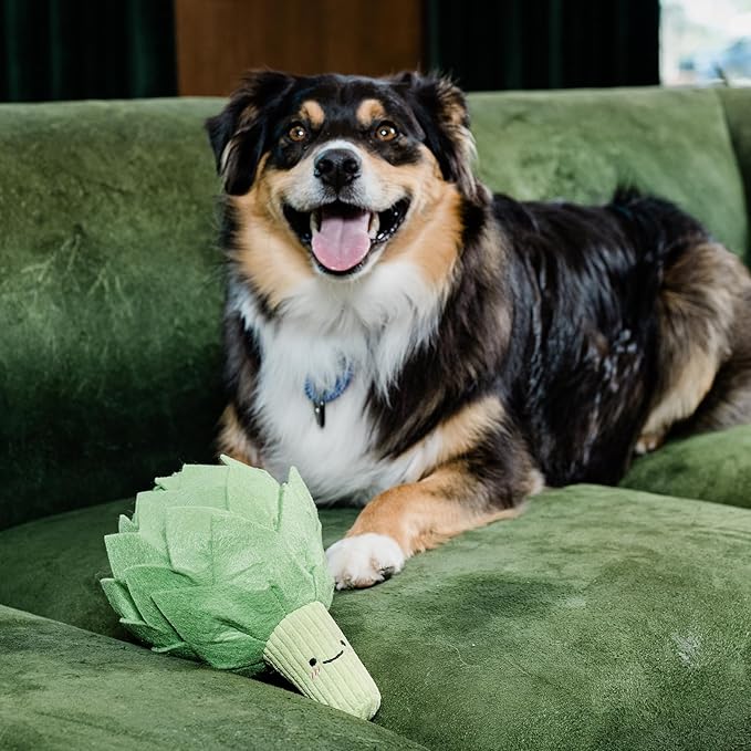 Dog Toys Plush with Squeaky & Treat Hiding Features - Mental Stimulation Enrichment Toy for Large Breed Dogs - Machine Washable Slow Feeder to Keep Dogs Busy，Artichoke