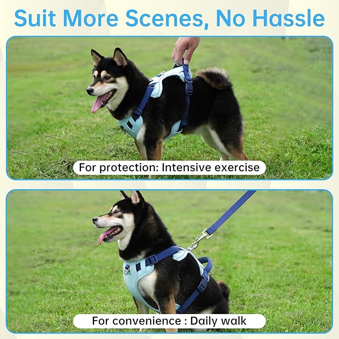 No Pull Dog Harness Leash and Collar Set, Soft Adjustable Dogs Vest Reflective and Comfortable Handle Blue X-Large