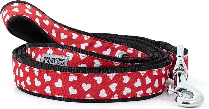 THE WORTHY DOG Adjustable Holiday Dog Collar for Small Dogs, Durable Nylon Webbing, Quick Release Buckle, Be Mine Hearts Valentine's Day Pattern, Red, Small