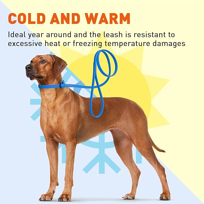 Dogline Biothane Slip Dog Leash - for Small, Medium and Large Dogs - Odor Free Slip Lead, Heavy Duty and Durable Material Kennel Lead - Cerulean Blue - 7ft L x 1/2in W