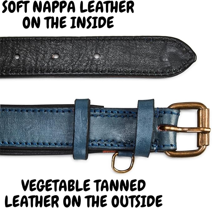 Real Leather Dog Collar Padded Soft Interiors with Premium Vintage Look Handcrafted Heavy Duty with Tag Ring for Small Medium and Large Pets (Medium (1.25" Wide for 13.5" - 17.5" Neck), Ocean Blue)