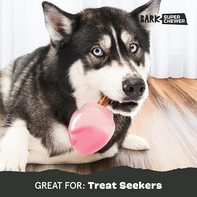 Barkbox Treat Caster Potion Dog Toy for Large Dogs Durable Rubber, Treat Dispensing with Wacky Wobble for Interactive and Engaging Playtime