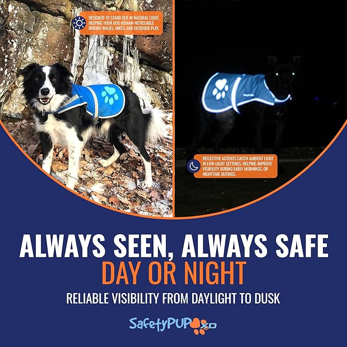 SafetyPUP XD Dog Reflective Vest – Hi-Vis Fluorescent Visibility That Helps to Safeguard Your Pet On/Off Leash in Urban & Rural Areas (Blue, Medium)