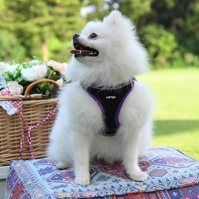 AMTOR Small Dog Harness with Leash Set, No Escape Easy Walk Puppy Harnesses for Training Walking, Step-in Reflective Soft Dogs Vest for XS S Medium Extra-Small Large Sized Dog(M,Black/Purple)