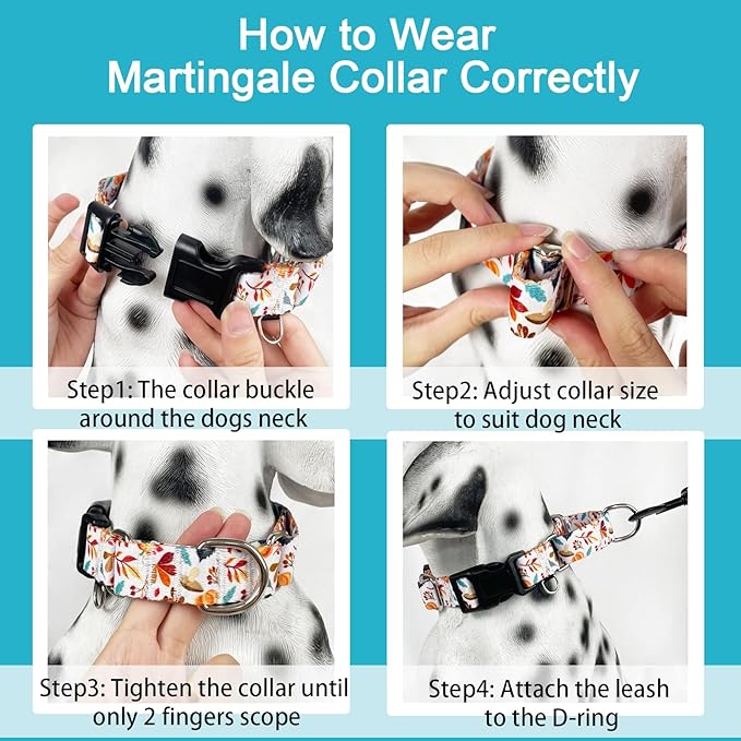 Martingale Collar for Dogs Fall Dog Collars for Small Medium Large Dogs with Buckle Adjustable Soft Nylon Dog Collar (Mushroom Maple Leaf, Small)