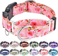 Martingale Collar for Dogs with Buckle Pink Floral Dog Collar No Pull Cute Girl Female Dog Collars for Small Dogs, Watercolor Pink Rose
