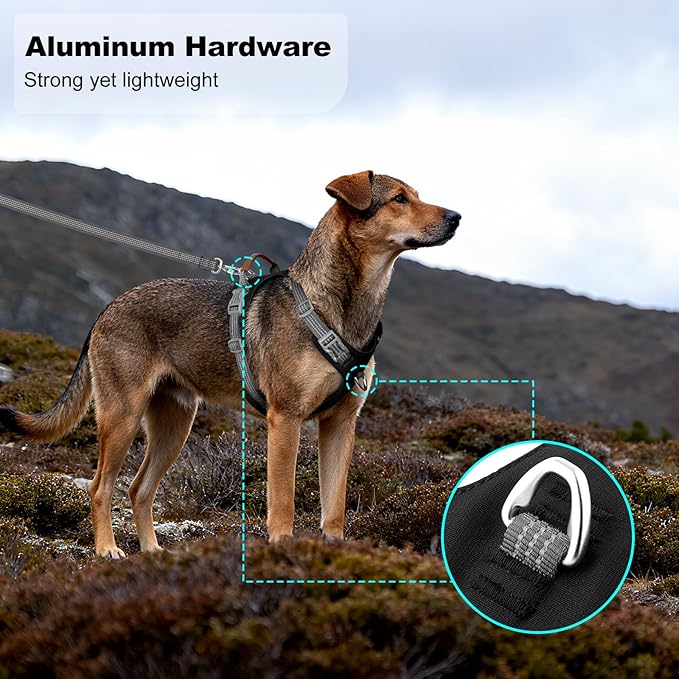 No Pull Dog Harness – Adjustable Reflective Nylon Vest for Small Medium Large Dogs, Escape Proof Training Harness with Leather Control Handle, Lightweight Aluminum Hardware (Black, L)