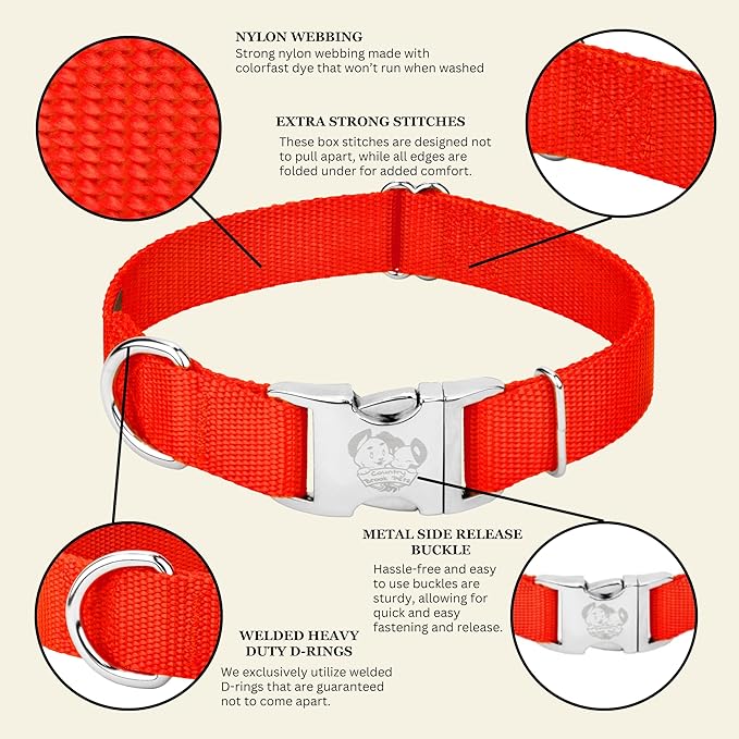 Country Brook Petz - Premium Nylon Dog Collar with Metal Buckle for Small Medium Large Breeds - 10+ Warm Colors (Extra Large, 1 Inch, Hot Orange)