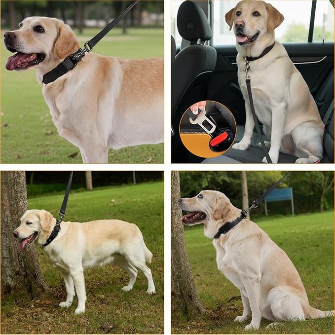 Annchwool Adjustable Dog Collar and 5 FT Leash Set with Heavy Duty Metal Buckle–Comfortable Lining Reflective Collar &Dual-Handles for Small Medium Large Dogs Walking,Running(Black Set,XL:22''-30'')