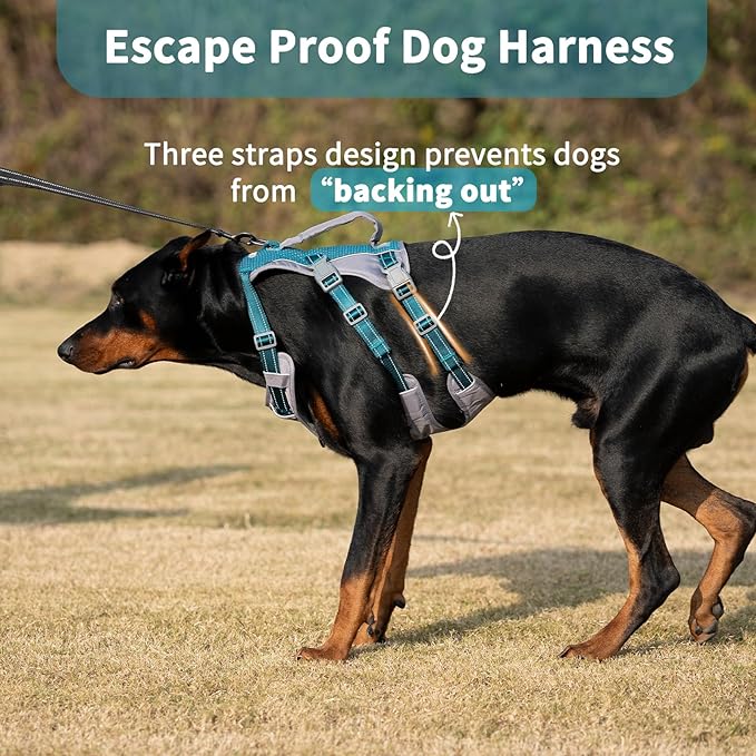 Huntboo Reflective Dog Harness with Handle, Escape Proof, No Slip, Breathable, Lightweight, Adjustable Lift Harness for Small, Medium, and Large Dogs Walking, Training, and Running Gear(Teal Blue,XL)