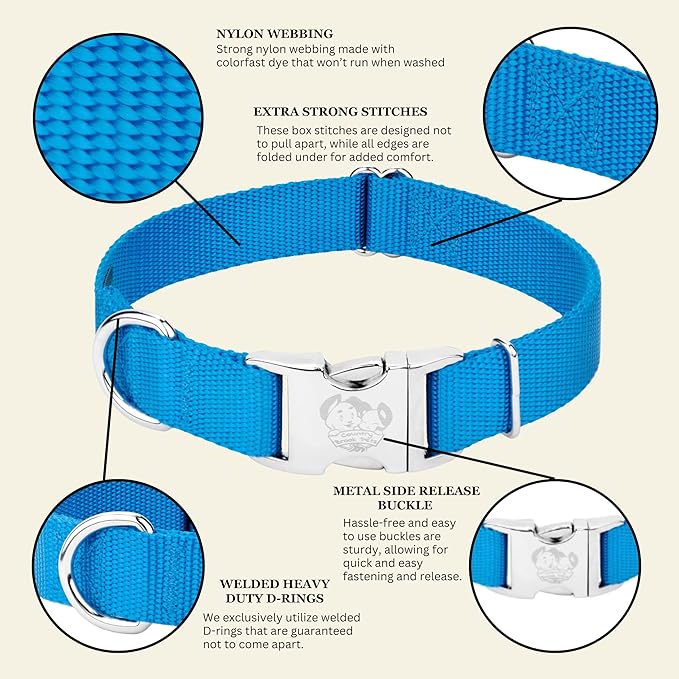 Country Brook Petz - Premium Nylon Dog Collar with Metal Buckle for Small Medium Large Breeds - 10+ Cool Colors (Extra Large, 1 Inch, Ice Blue)