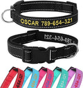 Personalized Dog Collar, Embroidered with Pet Name and Phone Number, Soft Neoprene Padded, Durable Nylon with Quick-Release Buckle Adjustable for Small Medium Large Dogs(Solid with Padded)