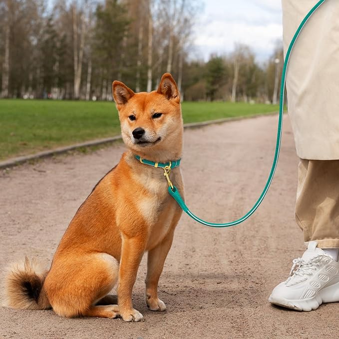OOPSDOGGY Reflective Rolled Leather Dog Leash 6ft - Soft Training Lead for Small Medium Large Dogs Puppy - Heavy Duty Rope Puppies Leashes for Outdoor Walking Running (Teal, Small)