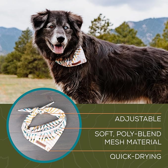 Wilderdog Dog Bandana with Lightweight Quick Drying Poly-Blend Mesh Material in Evergreen